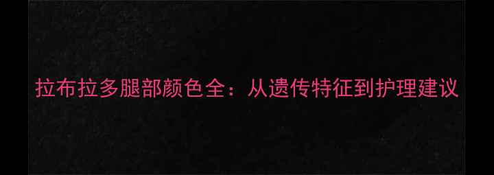 图片 拉布拉多腿部颜色全：从遗传特征到护理建议