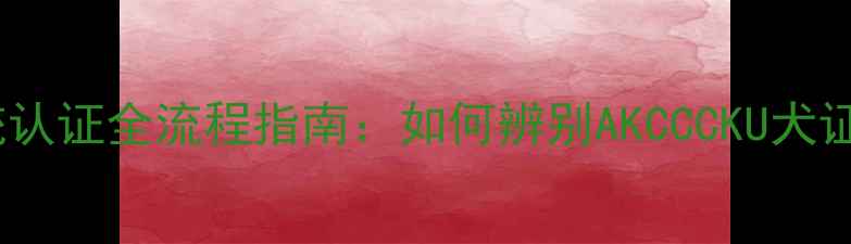图片 拉布拉多血统认证全流程指南：如何辨别AKCCCKU犬证及纯种特征1