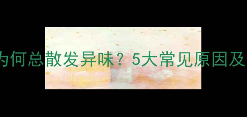 图片 拉布拉多身上为何总散发异味？5大常见原因及专业清洁指南1