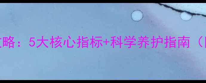 图片 拉布拉多选犬全攻略：5大核心指标+科学养护指南（附血统查询方法）