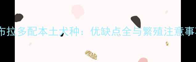 图片 拉布拉多配本土犬种：优缺点全与繁殖注意事项1