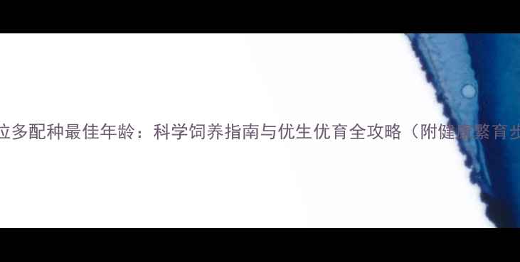 图片 拉布拉多配种最佳年龄：科学饲养指南与优生优育全攻略（附健康繁育步骤）