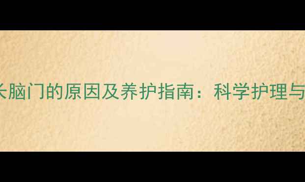 图片 拉布拉多长脑门的原因及养护指南：科学护理与遗传特性2