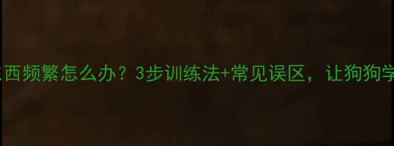 图片 拉布拉多闻东西频繁怎么办？3步训练法+常见误区，让狗狗学会礼貌问诊1