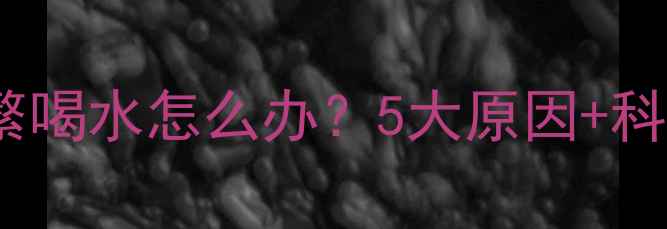 图片 拉布拉多频繁喝水怎么办？5大原因+科学应对指南1