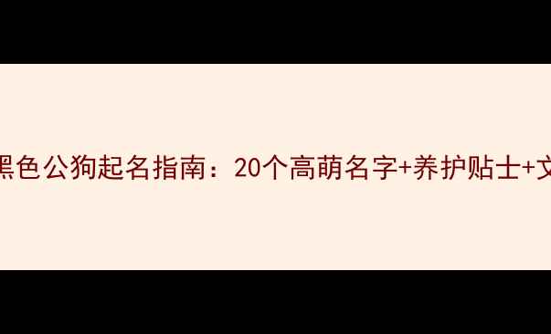 图片 拉布拉多黑色公狗起名指南：20个高萌名字+养护贴士+文化寓意全