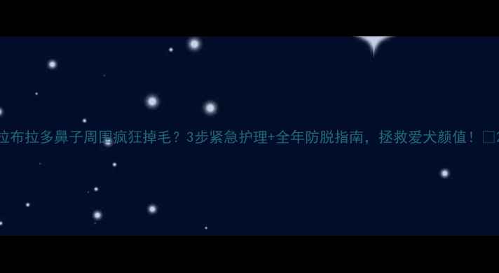 图片 拉布拉多鼻子周围疯狂掉毛？3步紧急护理+全年防脱指南，拯救爱犬颜值！🐾2