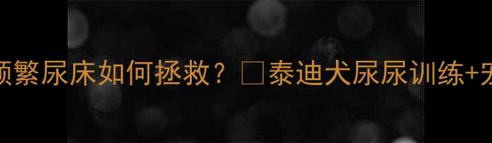 图片 救命！泰迪犬频繁尿床如何拯救？🐾泰迪犬尿尿训练+宠物护理全攻略