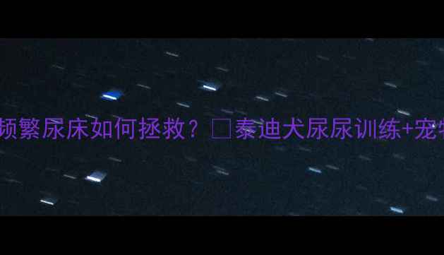 图片 救命！泰迪犬频繁尿床如何拯救？🐾泰迪犬尿尿训练+宠物护理全攻略1