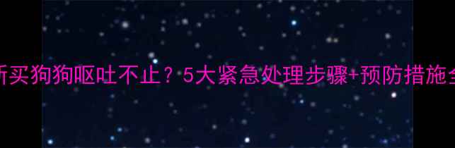 图片 新买狗狗呕吐不止？5大紧急处理步骤+预防措施全