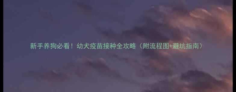 图片 新手养狗必看！幼犬疫苗接种全攻略（附流程图+避坑指南）