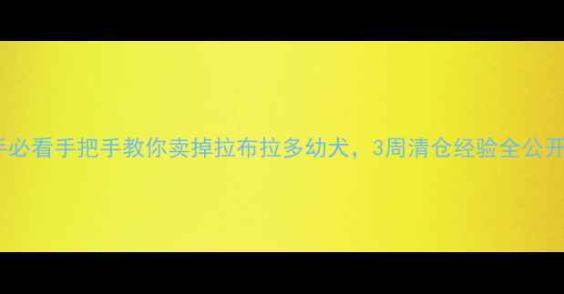 图片 新手必看手把手教你卖掉拉布拉多幼犬，3周清仓经验全公开！1