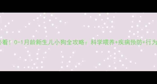 图片 新手必看！0-1月龄新生儿小狗全攻略：科学喂养+疾病预防+行为引导2