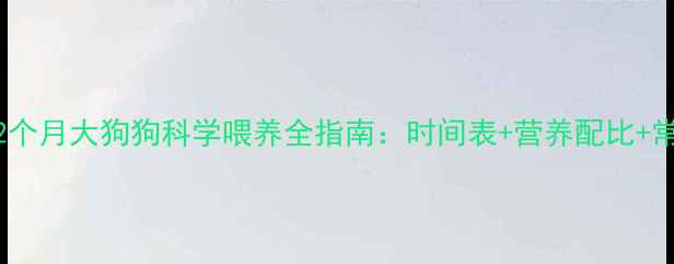 图片 新手必看！2个月大狗狗科学喂养全指南：时间表+营养配比+常见问题解答
