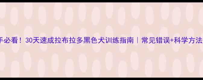 图片 新手必看！30天速成拉布拉多黑色犬训练指南｜常见错误+科学方法全1