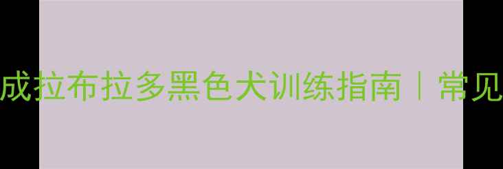 图片 新手必看！30天速成拉布拉多黑色犬训练指南｜常见错误+科学方法全2