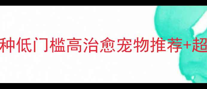 图片 新手必看！5种低门槛高治愈宠物推荐+超全饲养指南1