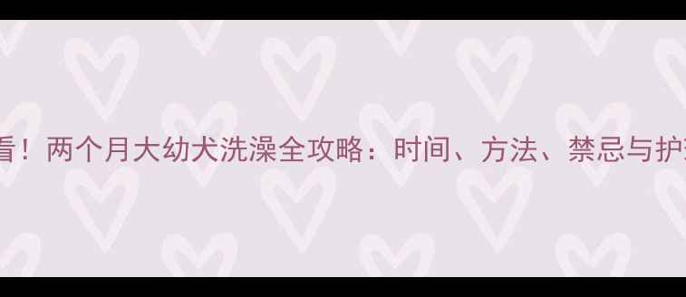 图片 新手必看！两个月大幼犬洗澡全攻略：时间、方法、禁忌与护理技巧1