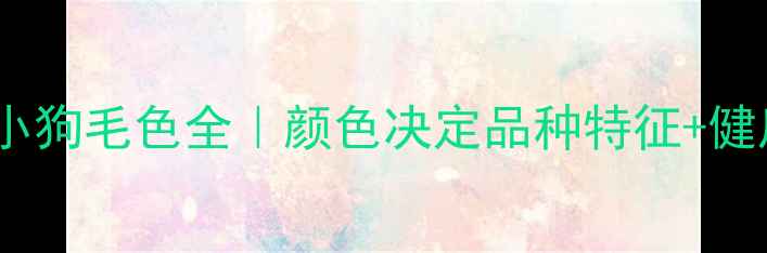 图片 新手必看！出生小狗毛色全｜颜色决定品种特征+健康隐患+选购指南