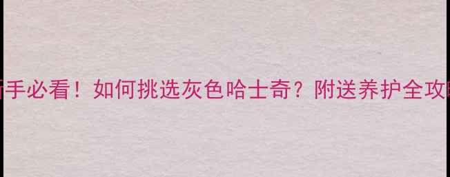 图片 新手必看！如何挑选灰色哈士奇？附送养护全攻略