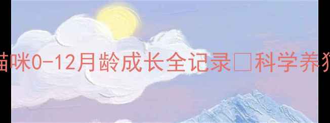 图片 新手必看！猫咪0-12月龄成长全记录🐾科学养猫干货大公开