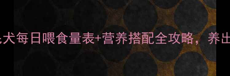 图片 新手必看！金毛犬每日喂食量表+营养搭配全攻略，养出健康大块头！1