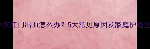 图片 新生小狗肛门出血怎么办？5大常见原因及家庭护理全攻略1