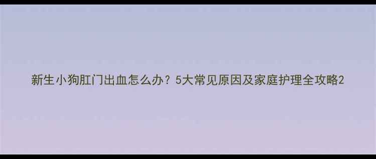 图片 新生小狗肛门出血怎么办？5大常见原因及家庭护理全攻略2