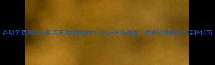 图片 昆明免费领养小狗流浪动物救助中心100+只待领养，领养代替购买全流程指南