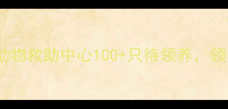 图片 昆明免费领养小狗流浪动物救助中心100+只待领养，领养代替购买全流程指南1