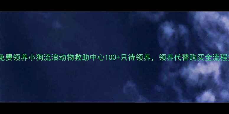 图片 昆明免费领养小狗流浪动物救助中心100+只待领养，领养代替购买全流程指南2