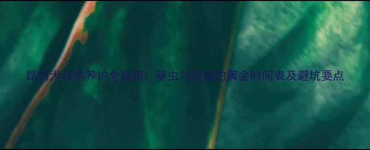 图片 昆明犬科学养护全指南：驱虫与疫苗的黄金时间表及避坑要点