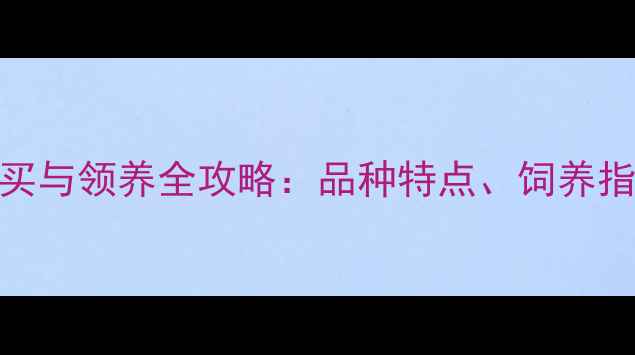 图片 普宁市哈士奇狗购买与领养全攻略：品种特点、饲养指南及本地犬舍推荐
