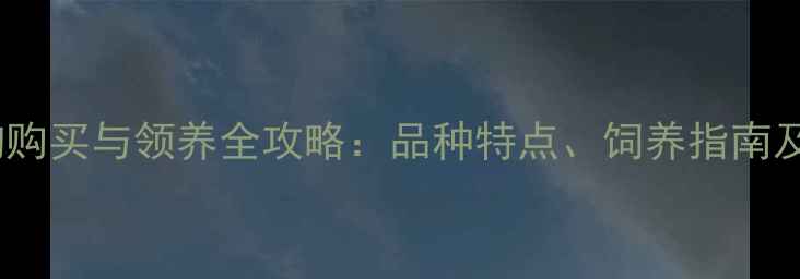 图片 普宁市哈士奇狗购买与领养全攻略：品种特点、饲养指南及本地犬舍推荐1