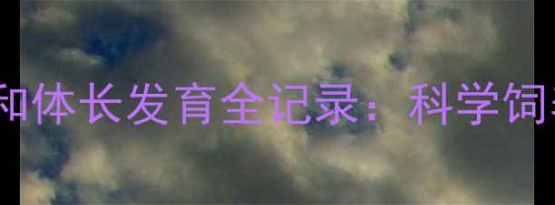 图片 暹罗猫3个月体重和体长发育全记录：科学饲养指南与成长标准