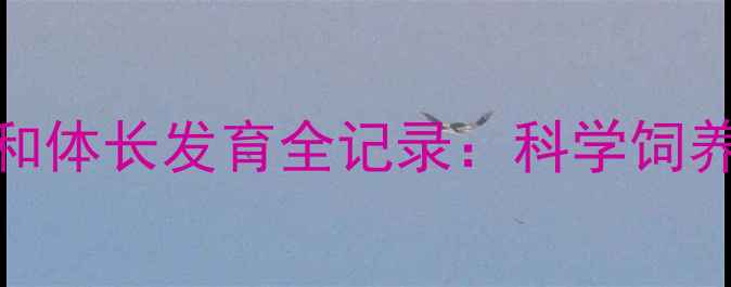 图片 暹罗猫3个月体重和体长发育全记录：科学饲养指南与成长标准2