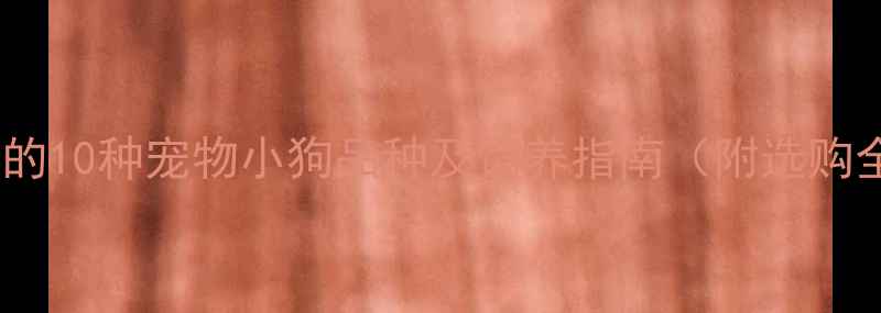 图片 最受欢迎的10种宠物小狗品种及饲养指南（附选购全攻略）1
