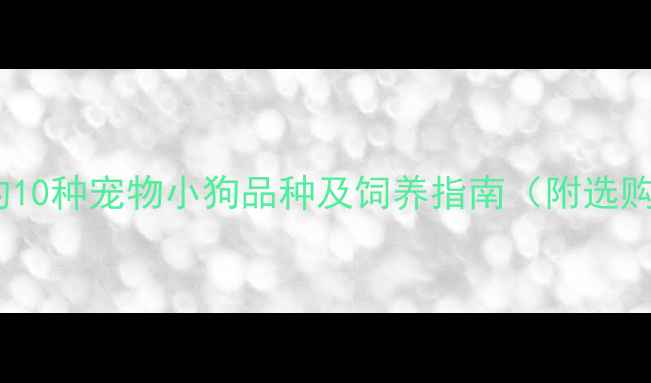 图片 最受欢迎的10种宠物小狗品种及饲养指南（附选购全攻略）2