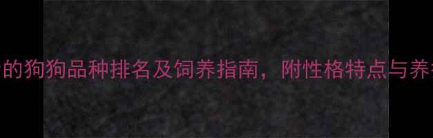 图片 最可爱的狗狗品种排名及饲养指南，附性格特点与养护技巧