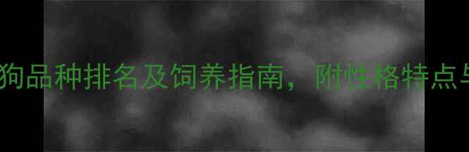 图片 最可爱的狗狗品种排名及饲养指南，附性格特点与养护技巧2