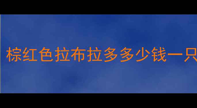 图片 最新价格参考：棕红色拉布拉多多少钱一只？选购全攻略1