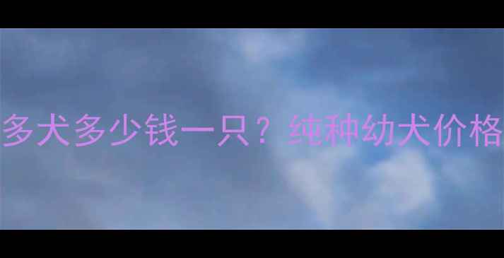图片 最新价格小拉布拉多犬多少钱一只？纯种幼犬价格区间及饲养成本全
