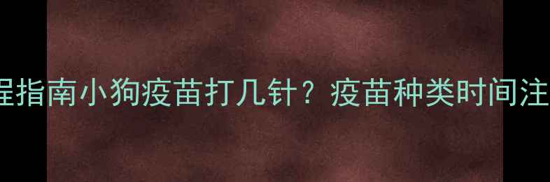 图片 最新全流程指南小狗疫苗打几针？疫苗种类时间注意事项全1