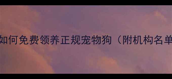 图片 最新全流程：如何免费领养正规宠物狗（附机构名单+避坑指南）1