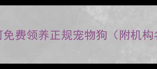 图片 最新全流程：如何免费领养正规宠物狗（附机构名单+避坑指南）2