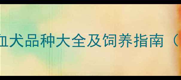 图片 最新培育：哈士奇混血犬品种大全及饲养指南（附性格与养护秘籍）1