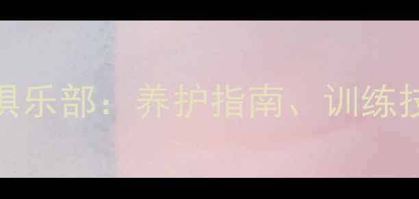 图片 最新拉布拉多犬俱乐部：养护指南、训练技巧与健康知识全