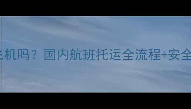 图片 最新指南：猫咪能带上飞机吗？国内航班托运全流程+安全须知，附航空公司政策1