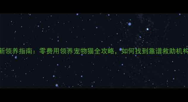 图片 最新领养指南：零费用领养宠物猫全攻略，如何找到靠谱救助机构？