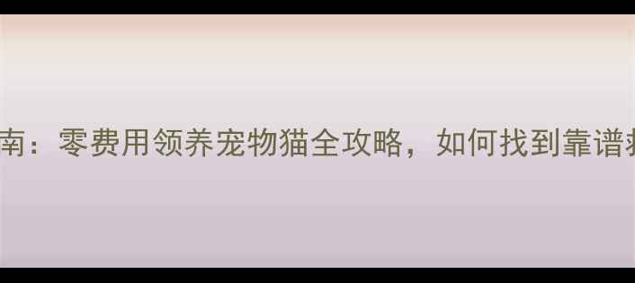 图片 最新领养指南：零费用领养宠物猫全攻略，如何找到靠谱救助机构？2